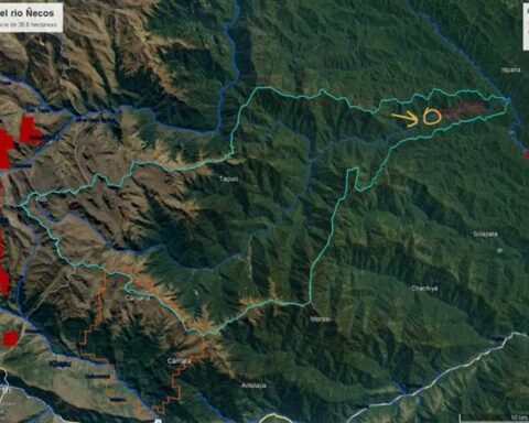 Four park rangers are found alive after patrolling an illegal mining area