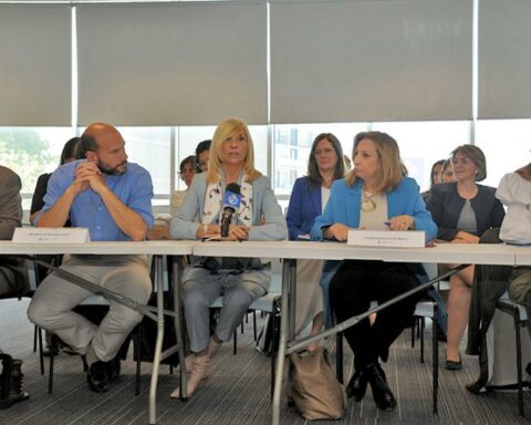 Government presented national plan against gender violence against women