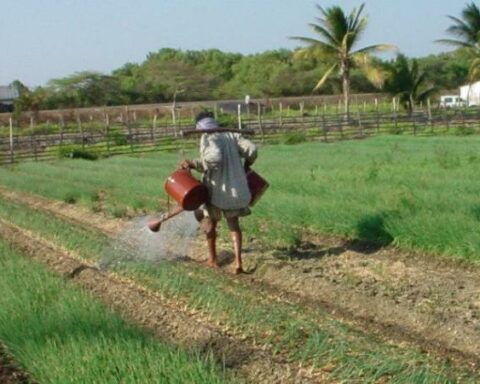 Government - ranchers agreement: land purchase will not be made with TES