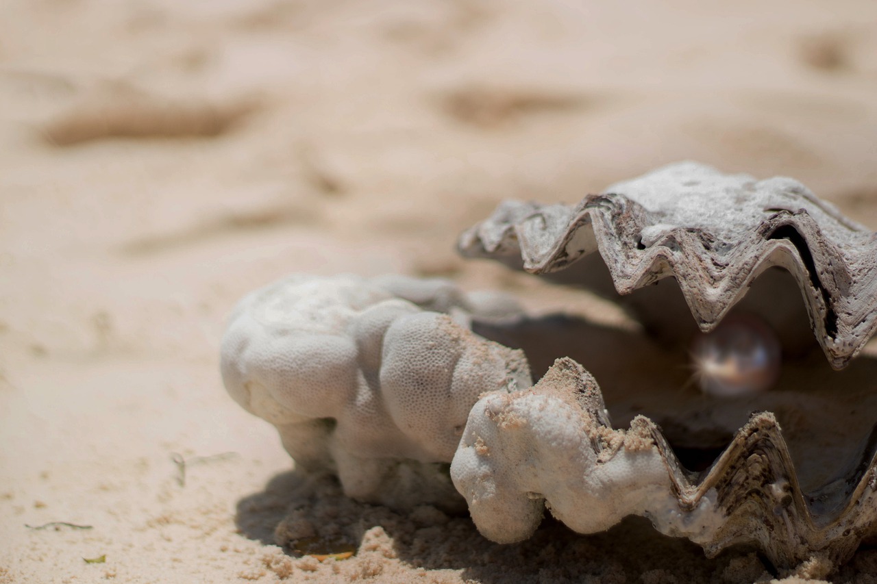 He went to eat oysters and in one of them he found an $18 million pearl