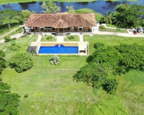 History of the Carlos Castaño farm that the Petro government handed over