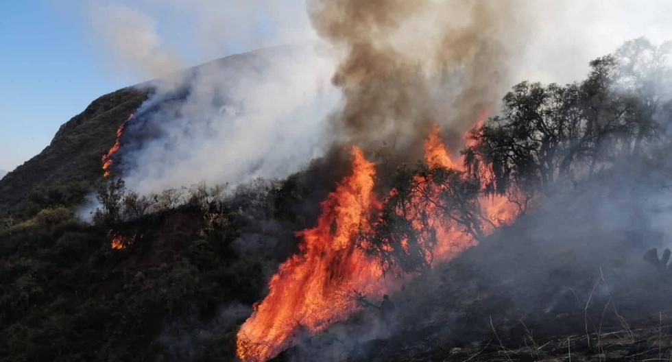 Huancavelica: They record a record of up to 113 heat sources