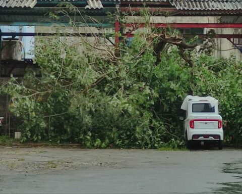 Hurricane Ian completely collapsed 38 houses in Havana and damaged more than a thousand