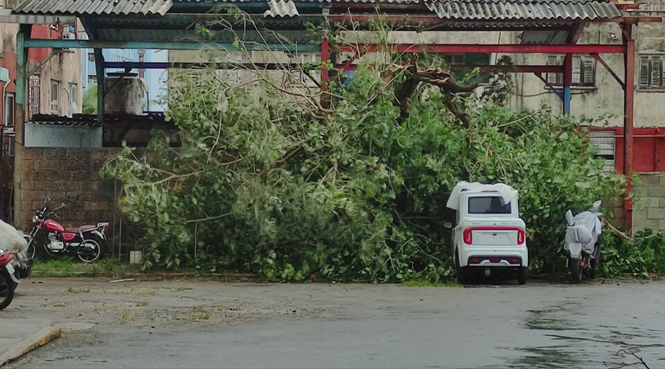 Hurricane Ian completely collapsed 38 houses in Havana and damaged more than a thousand