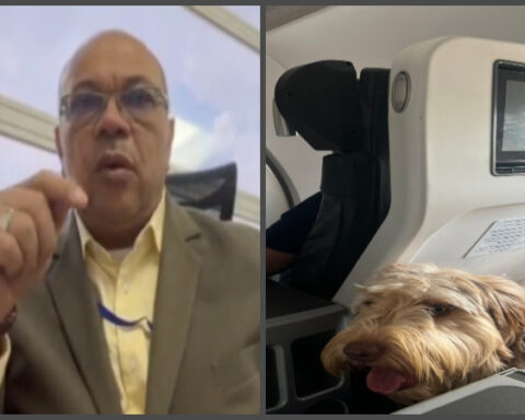"If you are allergic you can ask for a change of chair": controversial opinion of Luis Colmenares for a dog that was on the plane