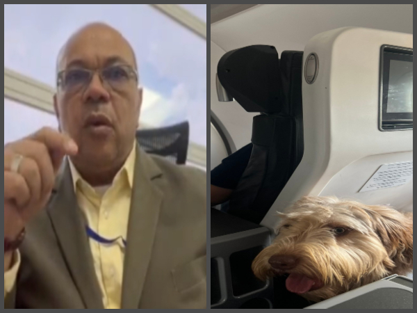 "If you are allergic you can ask for a change of chair": controversial opinion of Luis Colmenares for a dog that was on the plane