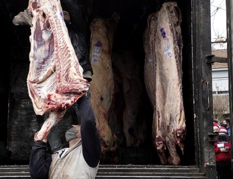 In November begins the chopping for the wholesale marketing of meat