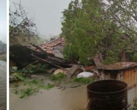 Pinar del Río cubanos