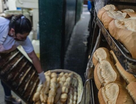 Increase the reference prices of flour within the framework of the wheat trust