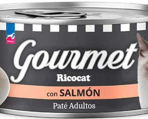 Indecopi orders withdrawal from the market of Ricocat Gourmet with Salmon due to false information on its labeling