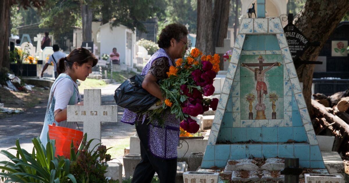 Inflation scythe sticks to tomb maintenance and gardening