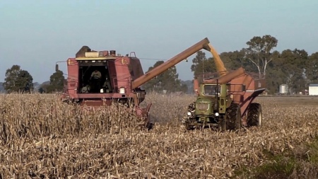 Invoicing for grain exports could reach US$ 41,276 million