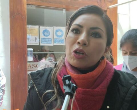 Leslye Lazo: "The OAS should not yet meddle in state policies"