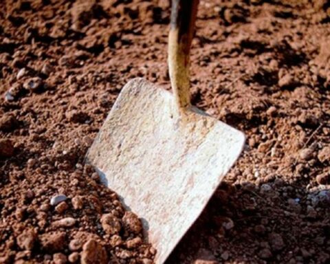 Hombre muere al quedar sepultado en derrumbe de tierra