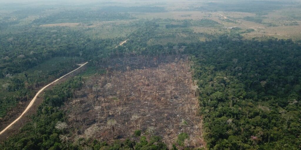 Managed pasture and agricultural area advance over native vegetation