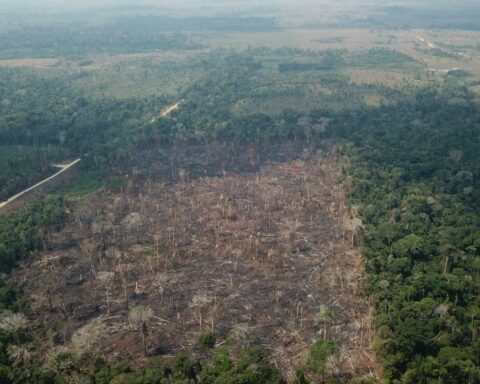 Managed pasture and agricultural area advance over native vegetation