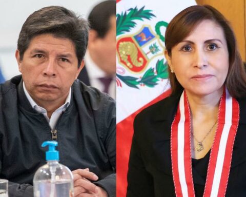 Marco Huamán on article 117 of the Constitution: "Immunity does not provide impunity"