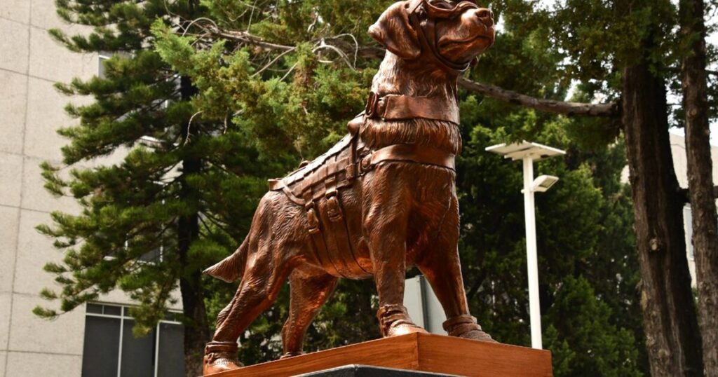 Marina unveils statue in honor of 'Frida', rescue dog