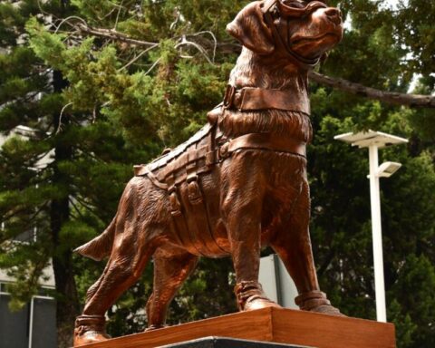 Marina unveils statue in honor of 'Frida', rescue dog