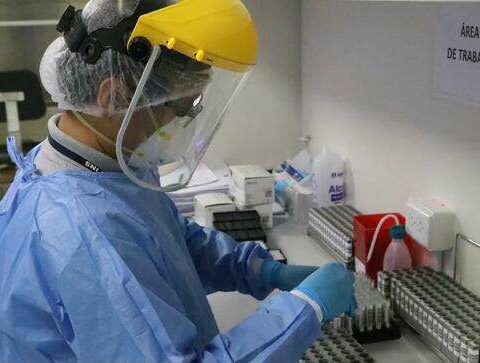 Monkeypox in Bolivia: there are 105 active cases