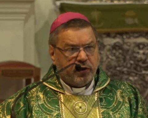 Monsignor Stanislaus: "The life of the Christian is plagued by many contemporary leprosy"