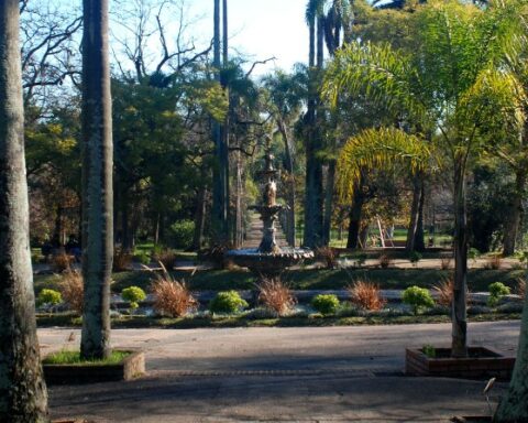 Montevideo celebrates Food Day today