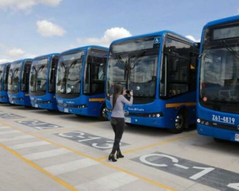 More than 11% of new cars enter the country with clean energy