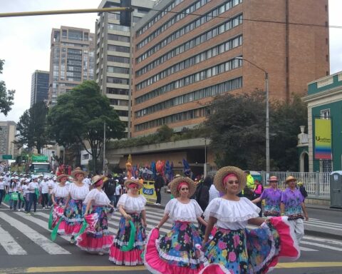 More than 900 artists will be present in the new edition of Solidarity Walk