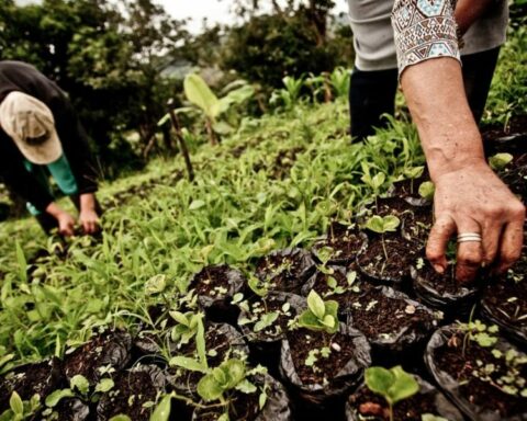 Cancelación de oenegés
