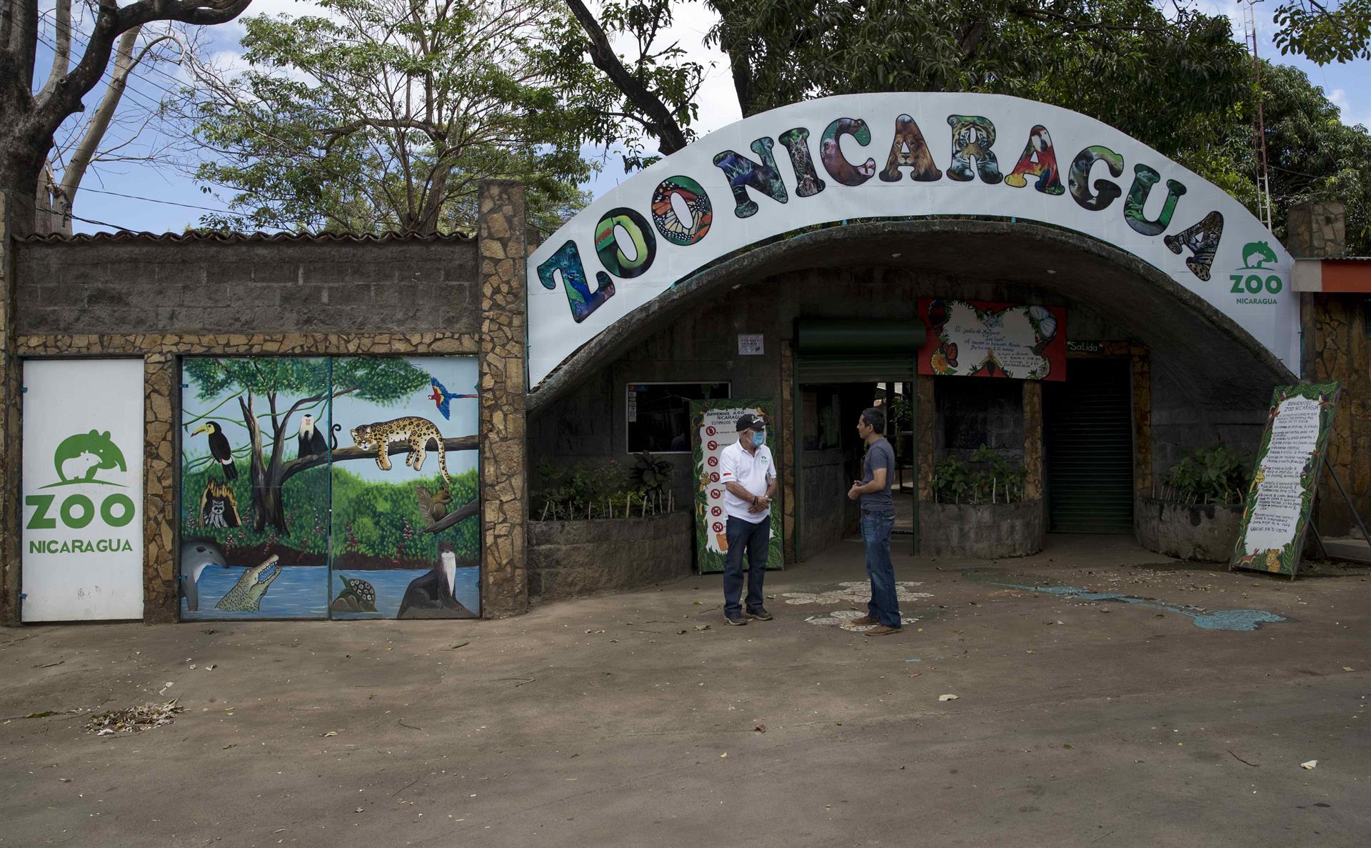 Nicaragua Zoo will be administered by the Ortega-Murillo regime