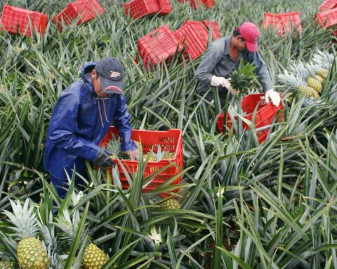 Nicaragua and Costa Rica sign a binational temporary work agreement