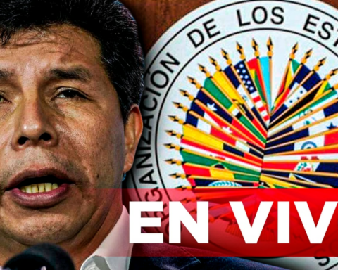 OAS LIVE: Guatemala supports Pedro Castillo's request and calls for the activation of the Democratic Charter