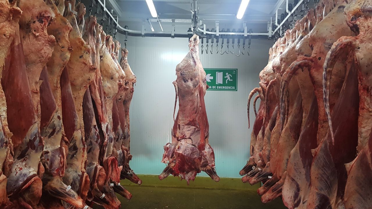 On November 1, the chopping system for the marketing of meat begins