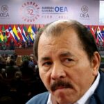"Ortega must be forced" to comply with the OAS resolution, says expert