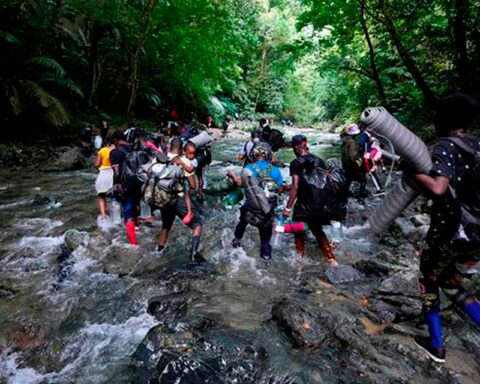 Panamanian Ombudsman: "It is almost impossible to close the Darién Gap"
