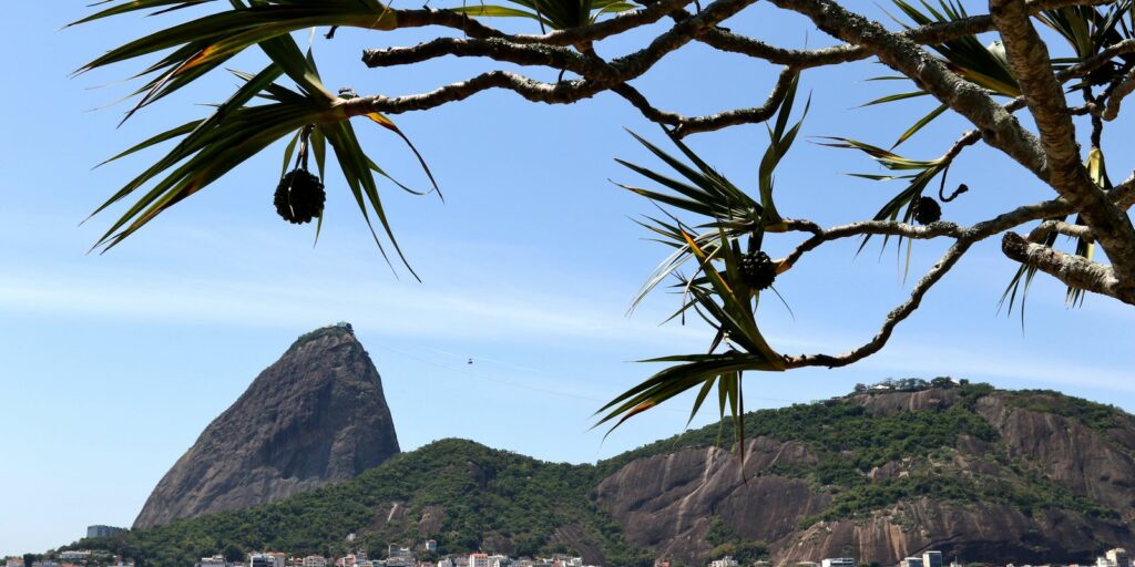 Pão de Açúcar cable car completes 110 years