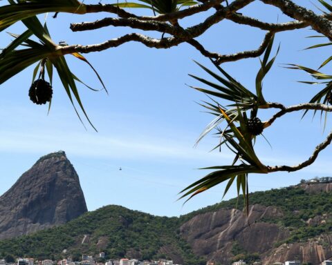 Pão de Açúcar cable car completes 110 years