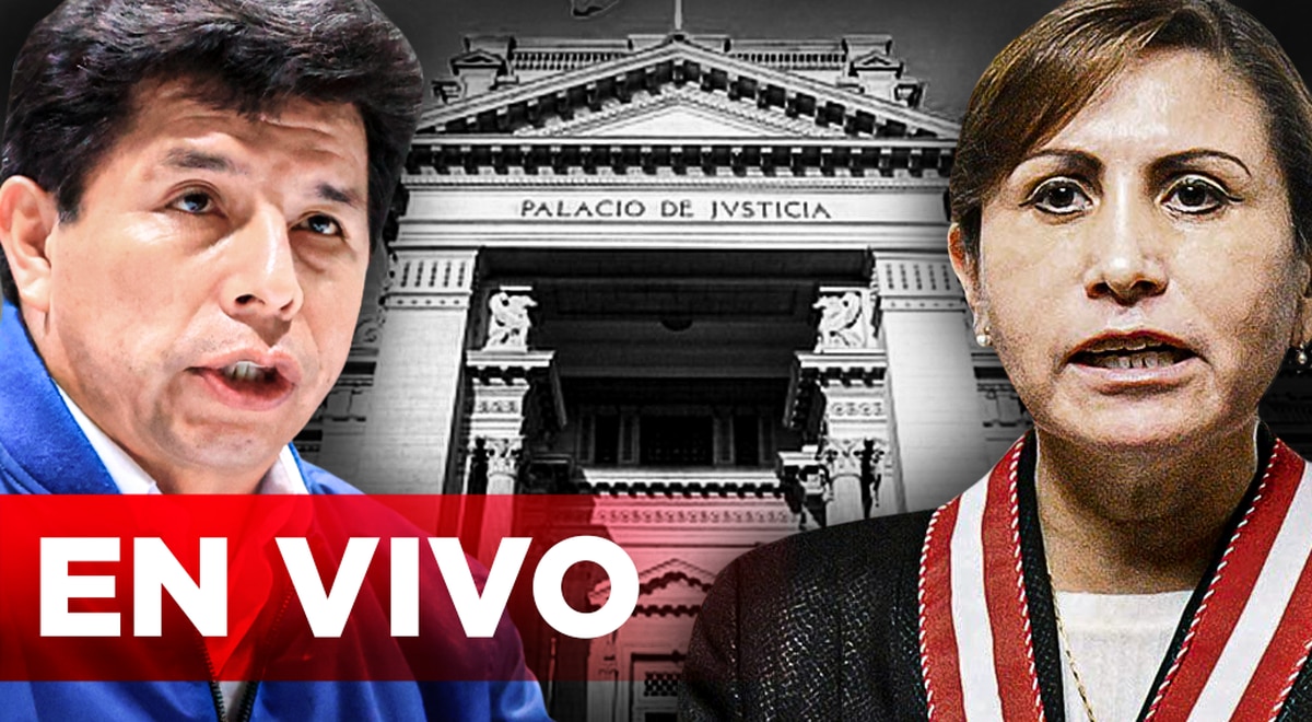 Pedro Castillo: PJ evaluated protection of rights to annul the constitutional complaint of the Nation's prosecutor