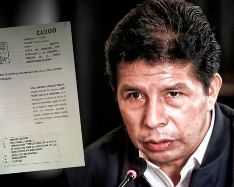Pedro Castillo: protection of rights to annul constitutional complaint will be seen on October 27