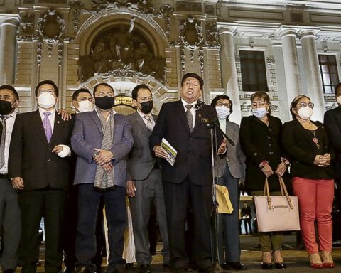 Peru Libre: "OAS must rule on anti-democratic actions of a sector of Congress"