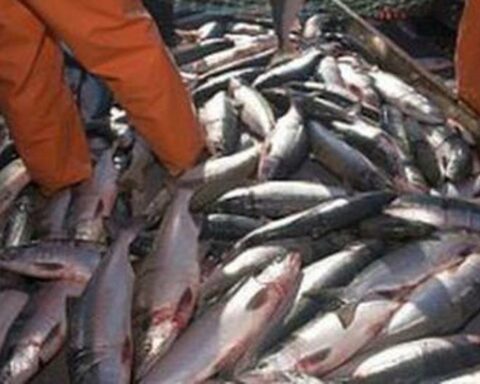 Peruvian economy only grew 1.68% in August