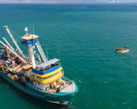 Peruvian fishing: Do you know what the fishing process is like in the country?