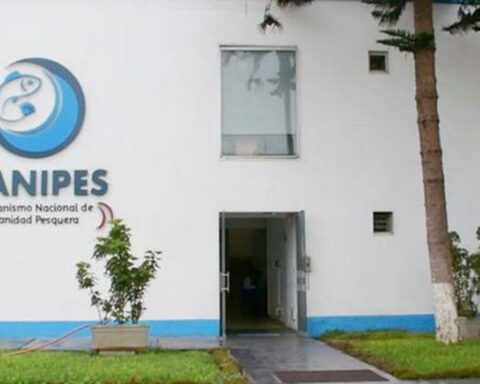 Produce: Sanipes will use an application to monitor its annual budget execution