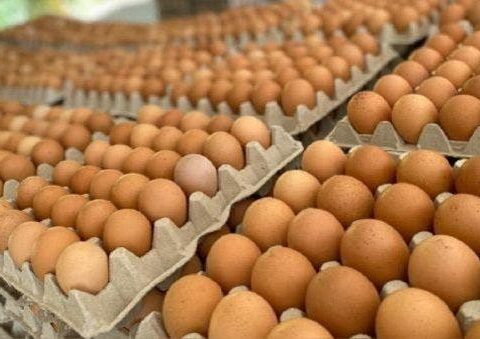 Productores hacen llamado por crisis en el Día Mundial del Huevo