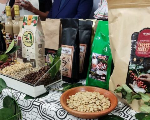 Products based on special coffees to conquer the next edition of Ficafé 2022