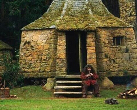 Reactions to the death of Robbie Coltrane, the Hagrid of "Harry Potter"