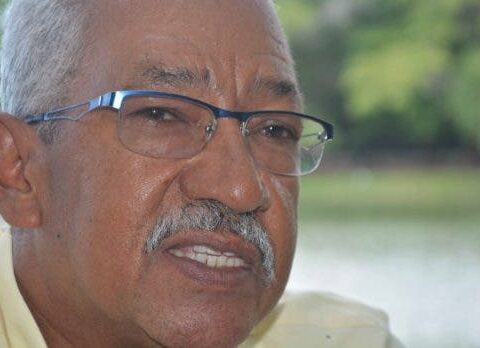 Planes reforestación sin pensar bosque primario