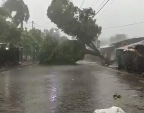 Regime "minimizes damage" by Hurricane Julia in Nicaragua due to limitations with evacuation