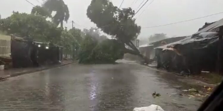 Regime "minimizes damage" by Hurricane Julia in Nicaragua due to limitations with evacuation