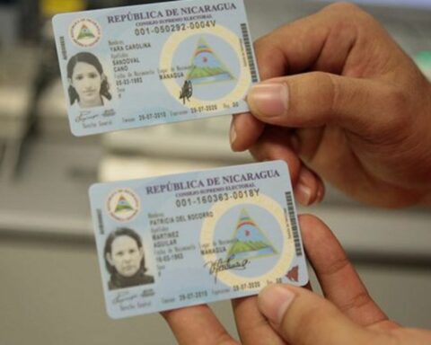 Regime will reform Electoral Law so that Nicaraguans with expired IDs participate in their "farce"